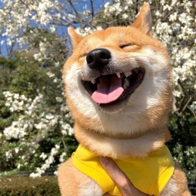 Ignasius Jonan avatar